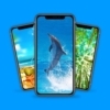 Mobile Phones